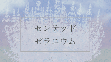 センテッド・ゼラニウム background image