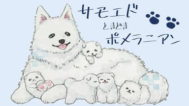 サモエドときどきポメラニアン background image