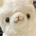 Alpaca(あるぱか)