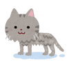 みや avatar icon