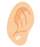 耳