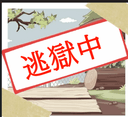 帕托