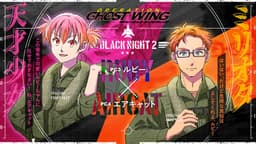 オペレーション・ゴーストウィング