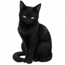 PC2:黒猫