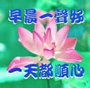 洪美花