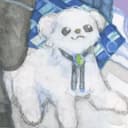 ぽん