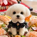 気まぐれプリンセスﾁｬﾝ