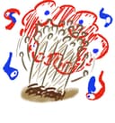 えのき