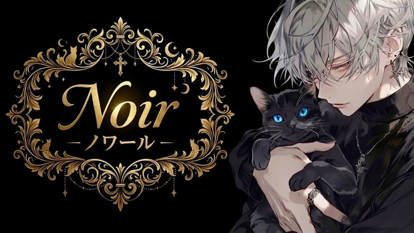 Noir －ノワール