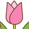 Tulip avatar icon
