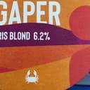 りり(ししょー)