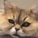 ぴー