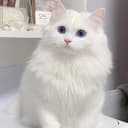 ヨナ