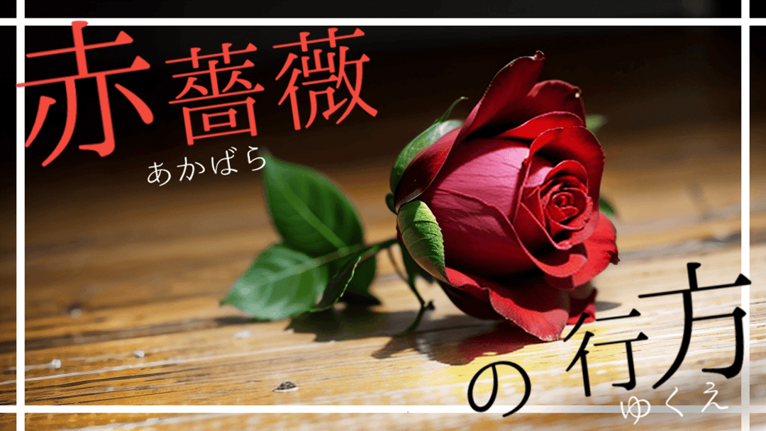 赤薔薇の行方 background image