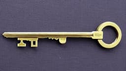 ヴィラン・ヴィタール