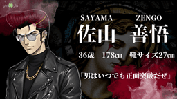 偽装フェイクスター