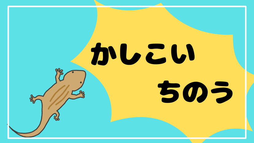 クリップ！　ブルー