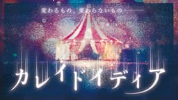 カレイドイディア