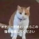 軽い気持ち ね