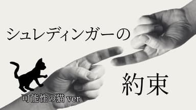 シュレディンガーの約束 可能性の猫ver background image