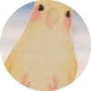 インコろ avatar icon