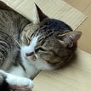 秋水(あきすい)